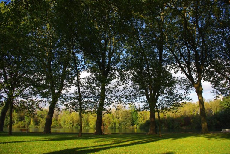 bed18364-cd0d-40ec-9631-cbb7ad21f6a3